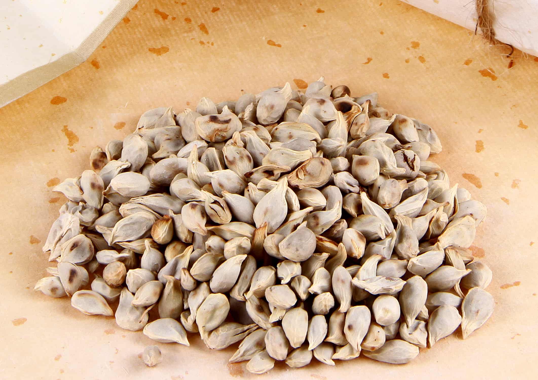 甲状腺恶性肿瘤术后有什么影响