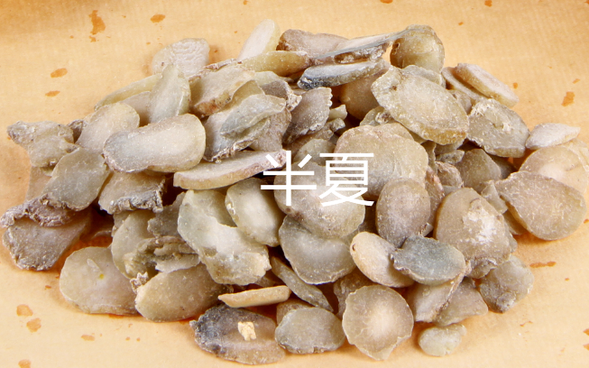 1763992291332535.png 80165e75f78035f118fff12369743108.png