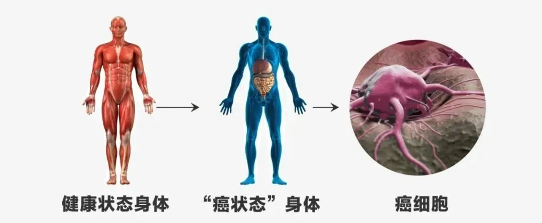 1764252446133611.png 5c94e79d228bd6687bbc6dd4135e6e40.png