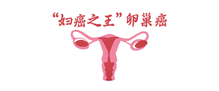 1764687298224381.png 屏幕快照 2025-12-02 下午10.54.33.png