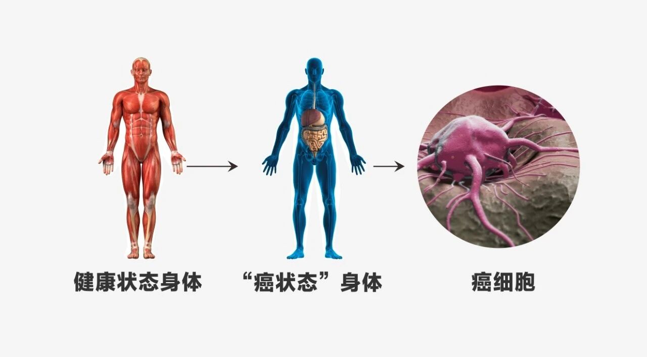 1764727680435146.jpeg 7afefbabe947bd4734708c7212193629.jpeg