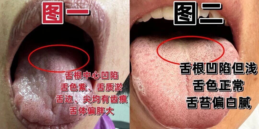 1766025904153340.jpg 1-1.jpg