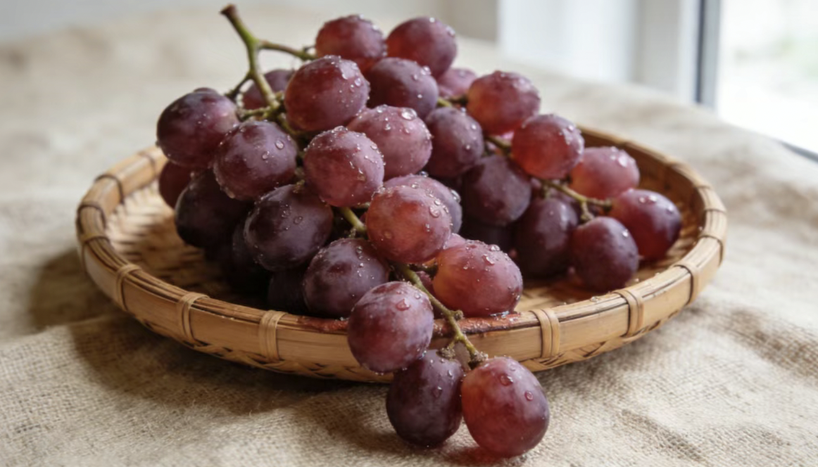 截屏2026-01-09 10.03.35.png