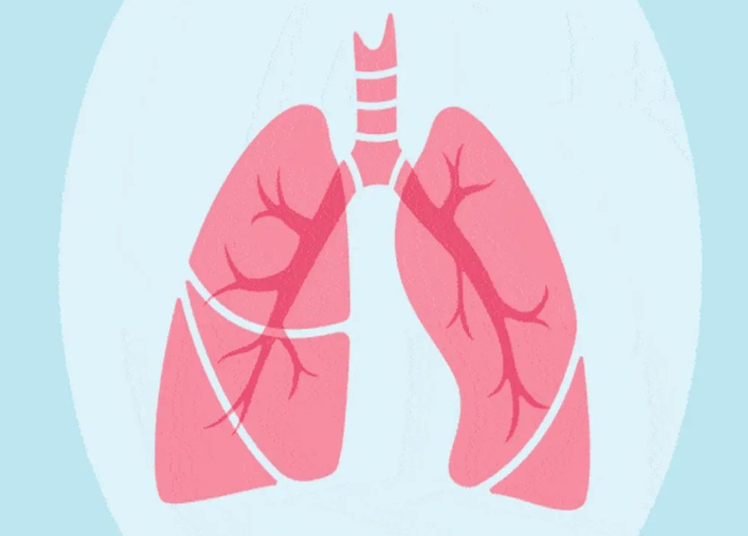 李忠教授治疗肺癌全过程：用药、症状分析、治疗