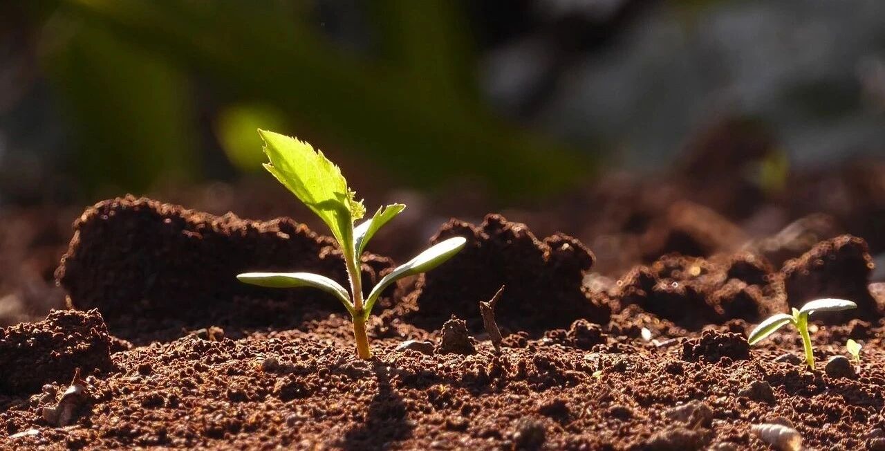 当你&ldquo;癌状态&rdquo;改变了，就离癌细胞消失不远了