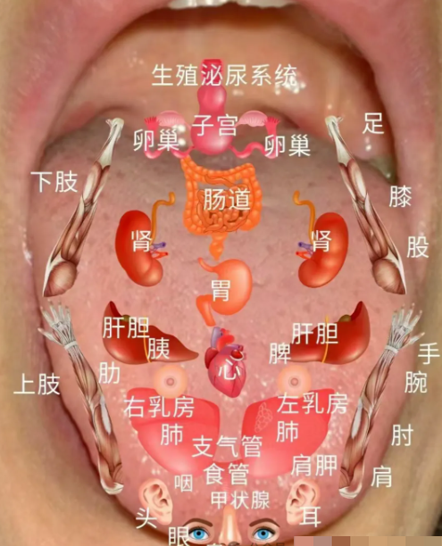 这种癌，舌根十有八九有凹陷！看看自己的吧